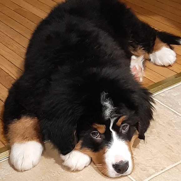 Kindness and Consideration - Picture 11 of 11